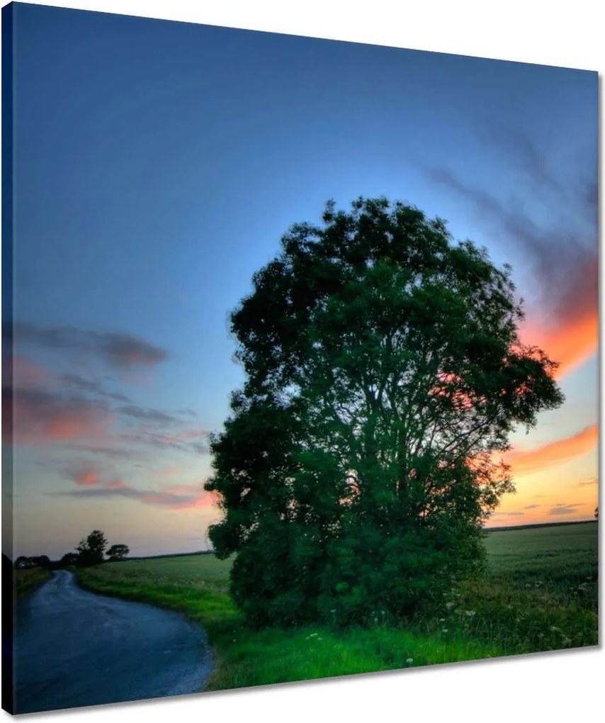 Vászonkép 50x50 Lángoló égbolt