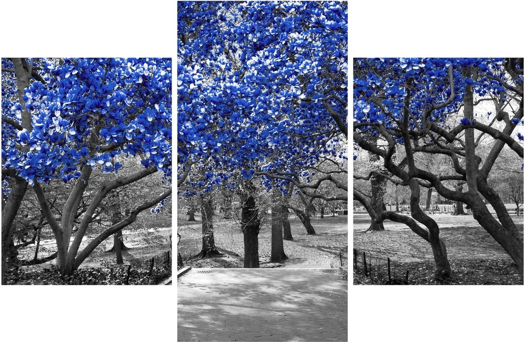 Kép - Kék fák, Central Park, New York (90x60 cm)