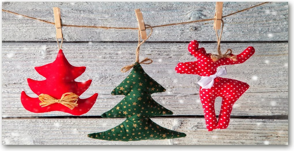 Fotó üvegkép Díszek zsinóron 140x70