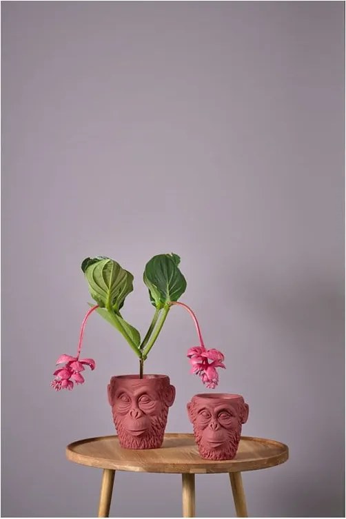 Calbe piros virágcserép ø 19 cm - Villa Collection