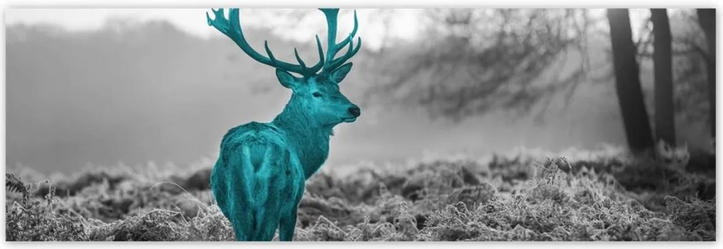 Poszterek 200x66 Türkiz szarvas agancsokkal