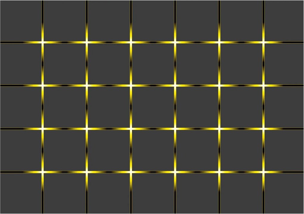 Fotótapéta Geometria Minimalizmus Vonal Négyzet Háló 300x210 +ragasztó