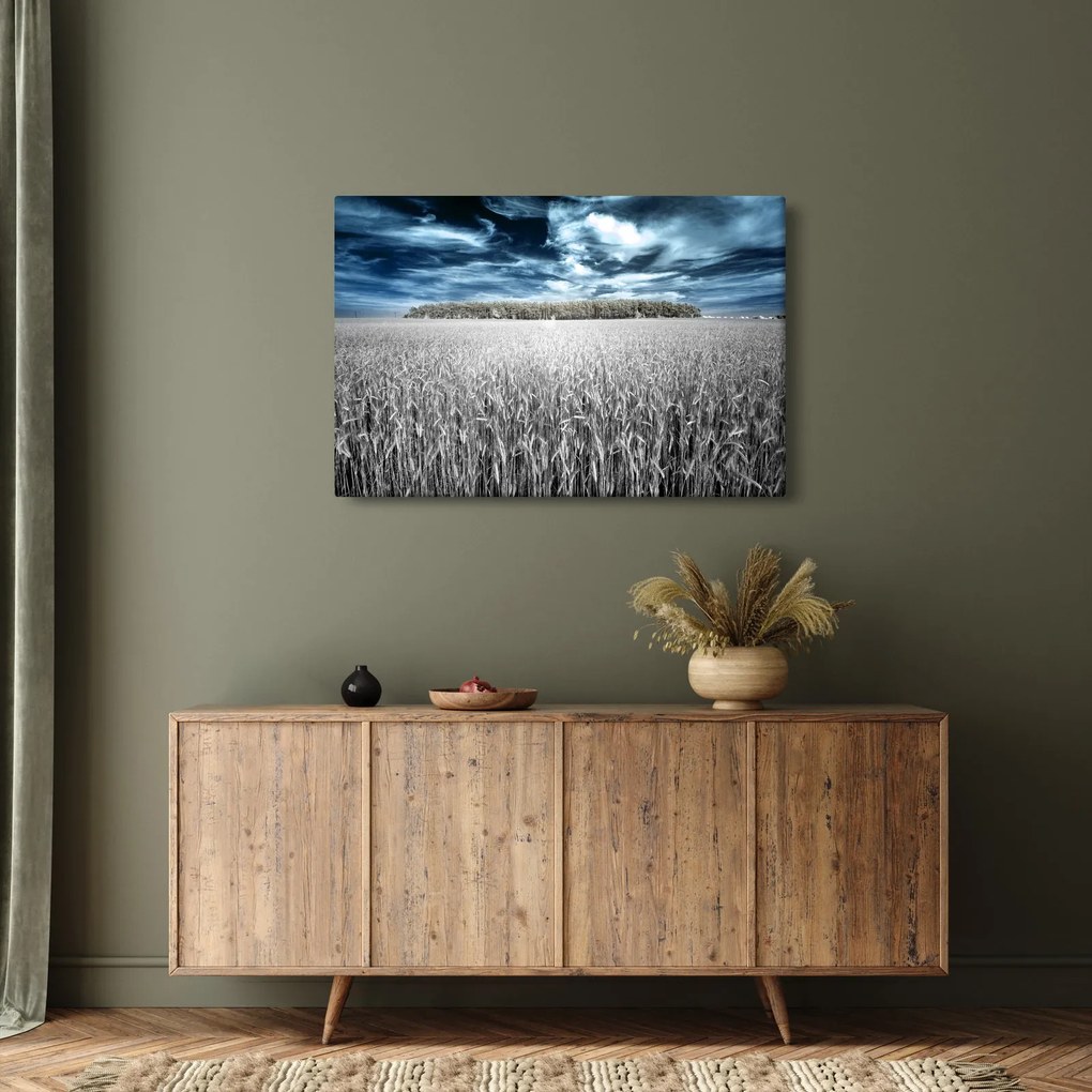 A mező képe (90x60 cm)