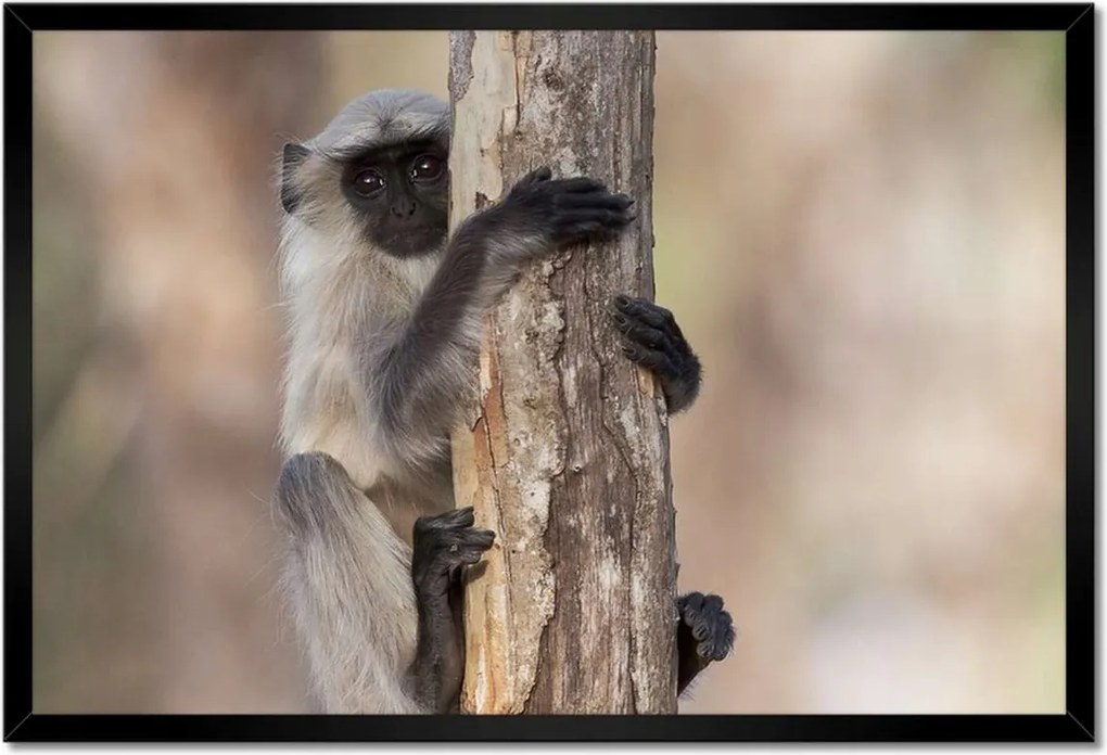 Poszterek keretben 60x40 Pihenés a természetben