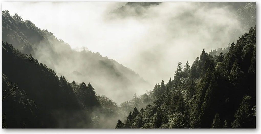 Konyhai panel Köd az erdő felett 120x60 cm Ragasztó