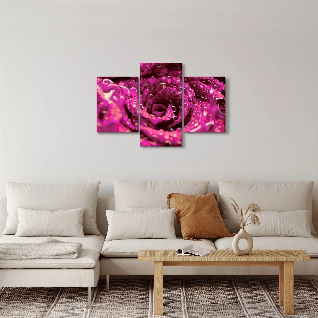 Rózsaszín rózsa virágzata képe (90x60 cm)