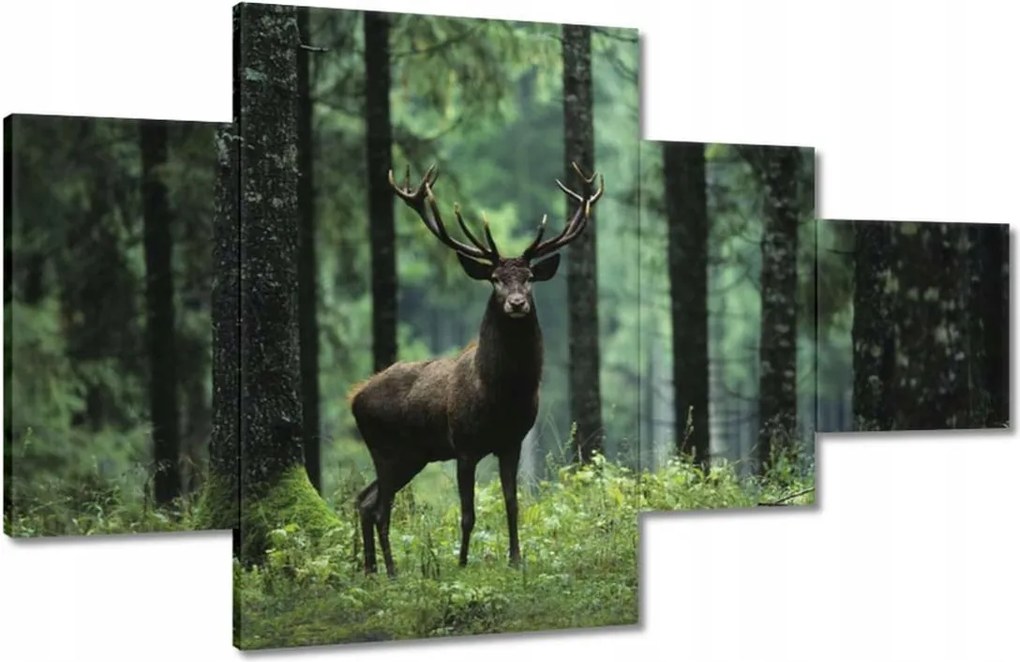 Vászonkép 130x80 Szarvas az erdő közepén