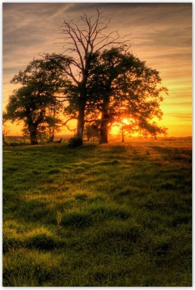 Poszterek 80x120 Naplemente a croissant-ban