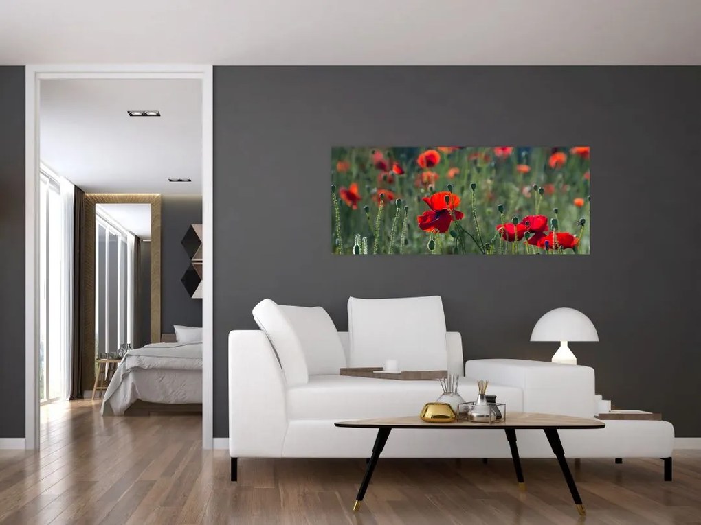 Kép - Rét mák virággal (120x50 cm)