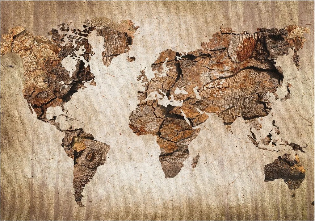 Flizelin tapéta Flizelin fali prémium fa térkép 208x146