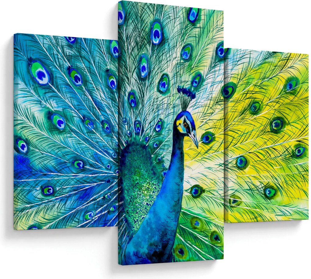 Páva képe (90x60 cm)