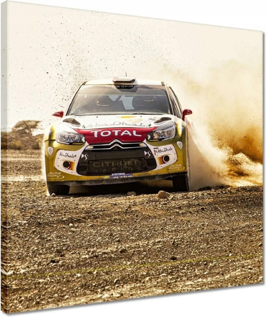 Festmények 40x40 Rally