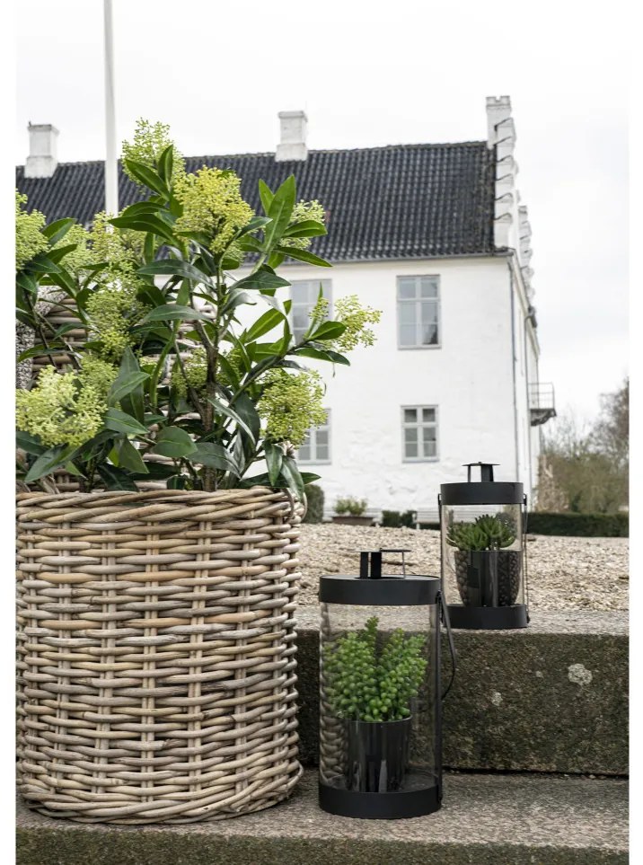 Skimmia fa műnövény 75 cm