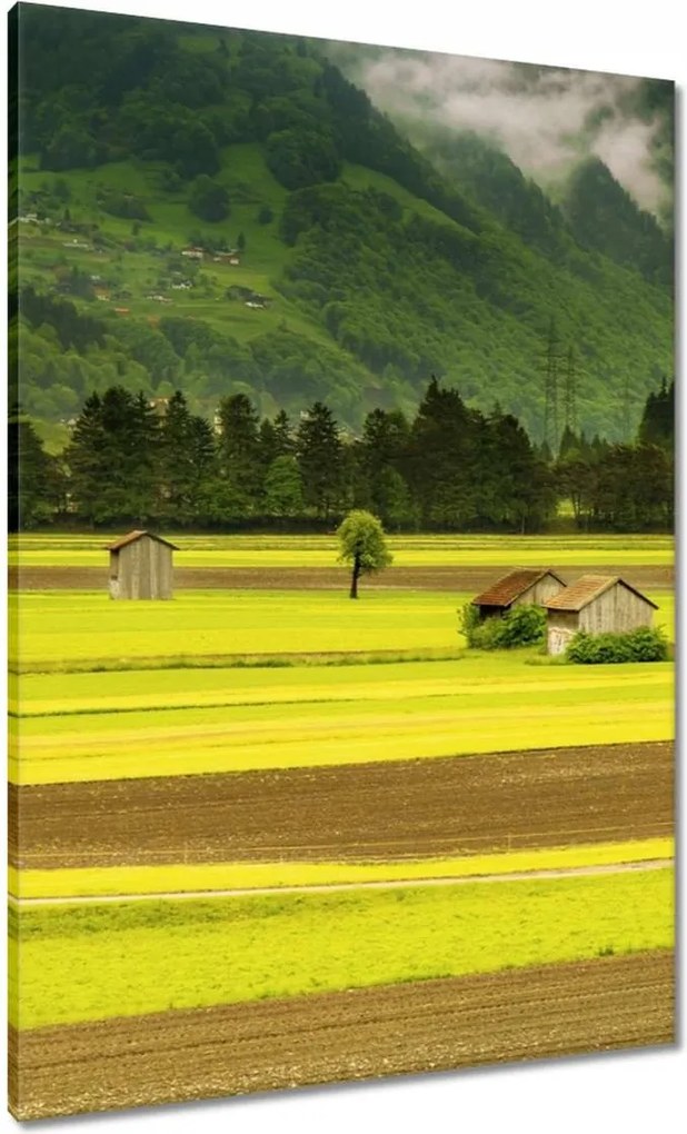 Vászonkép 70x100 Zöld őzek