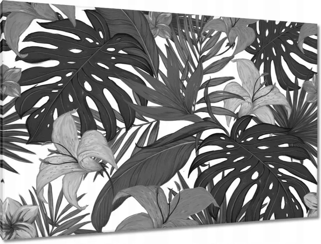 Vászonkép 120x80 Fekete-fehér monstera