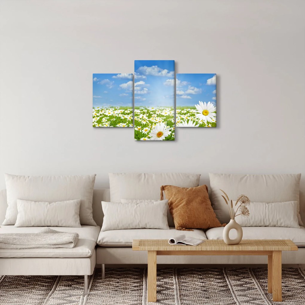 A virágzó rét százszorszépekkel képe (90x60 cm)