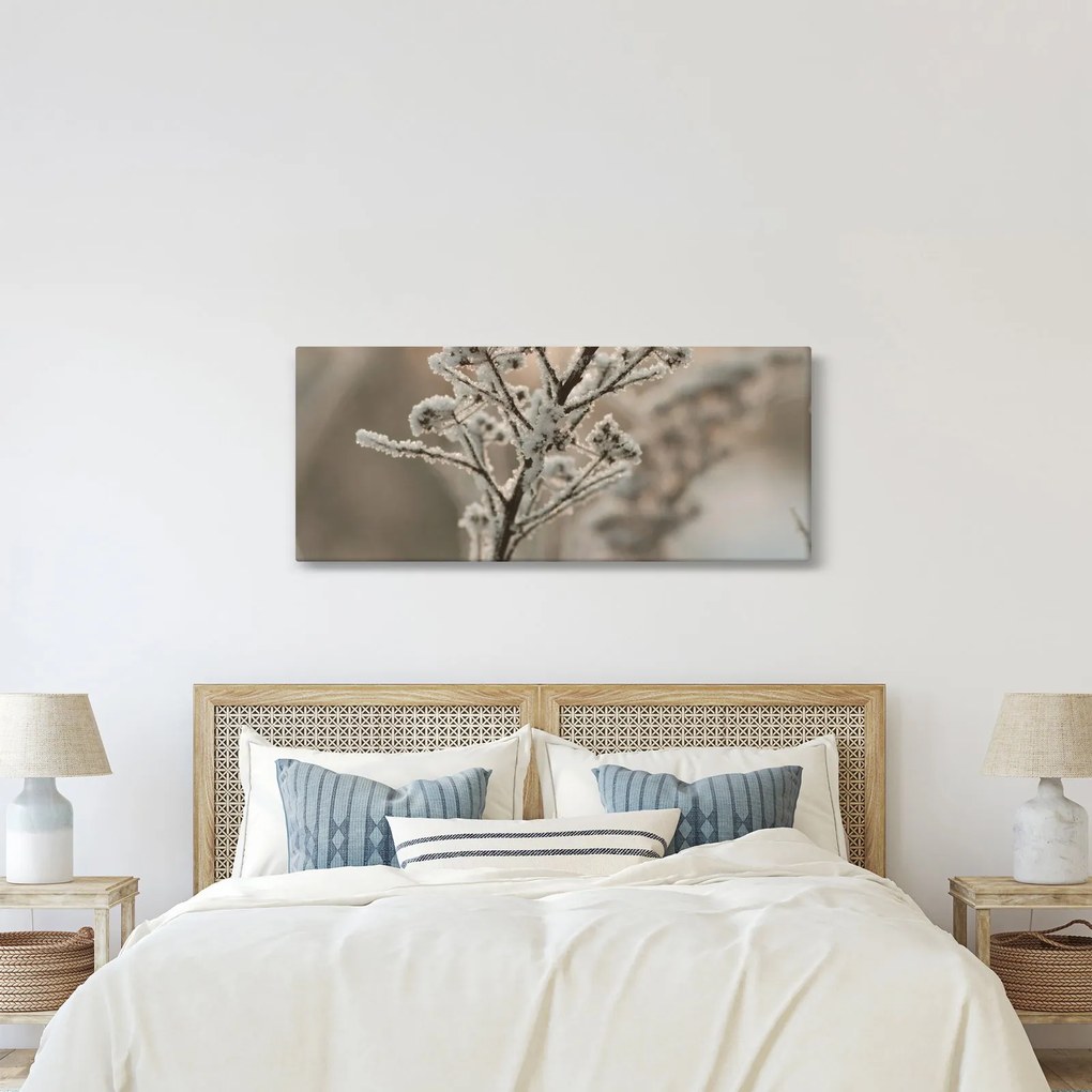 Kép - Növény fagyban (120x50 cm)