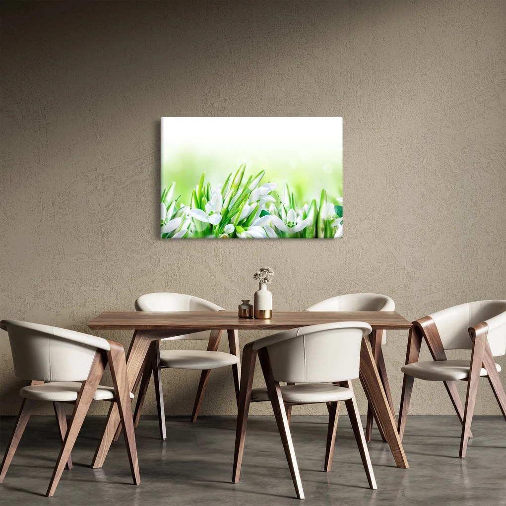 Kép - Hóvirág (90x60 cm)