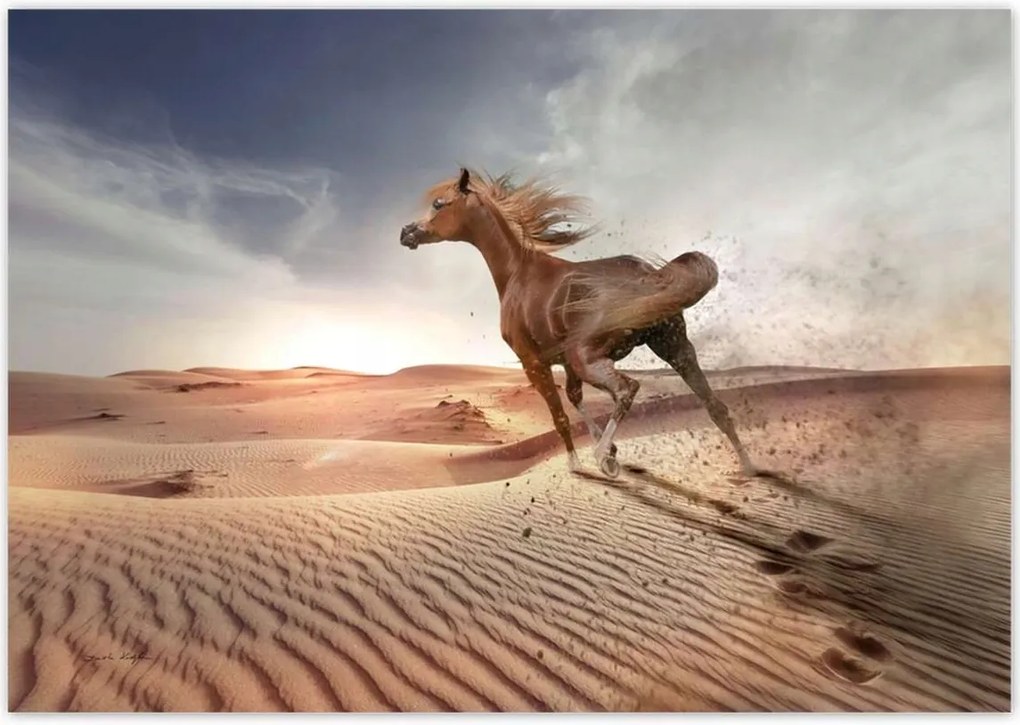 Fotótapéták 312x219 Galoppozó ló