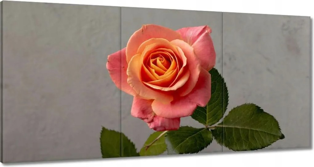Vászonkép 180x90 Rózsa Virág Virágok Rózsa