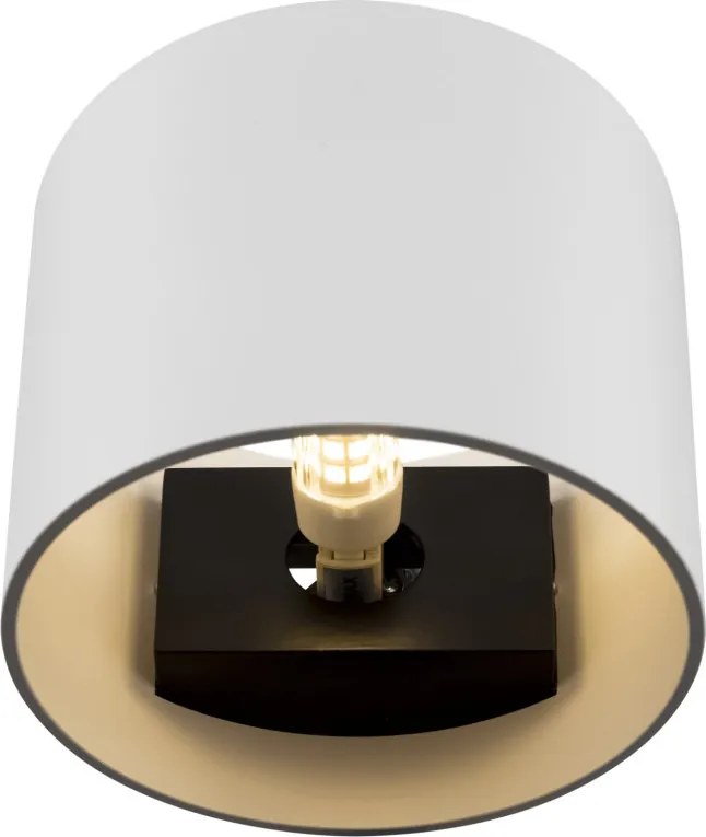 Maytoni ROND C066WL-01W Fali lámpa 1x50W/G9