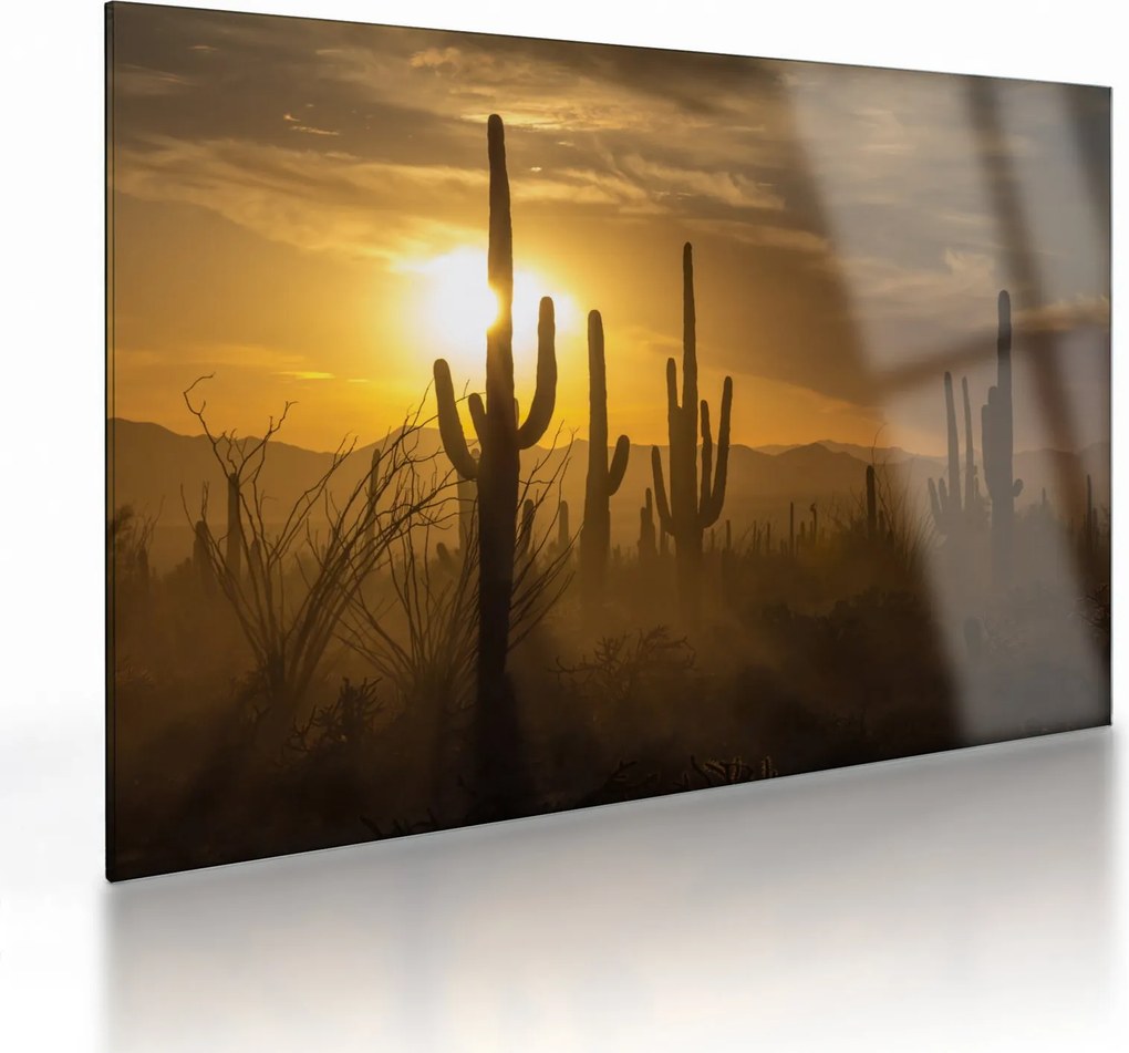 Üveg kép - Saguaro kaktuszok (70x50 cm)