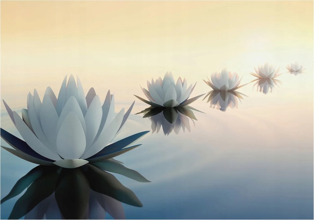 Fotótapéta Flizelin Hálószoba és Nappali tapéta Csendes kilátás 208x146