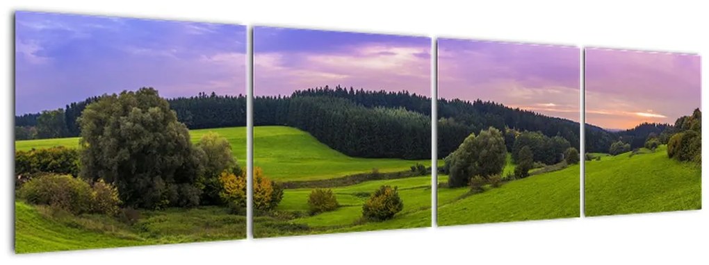 Vászonkép (160x40cm)