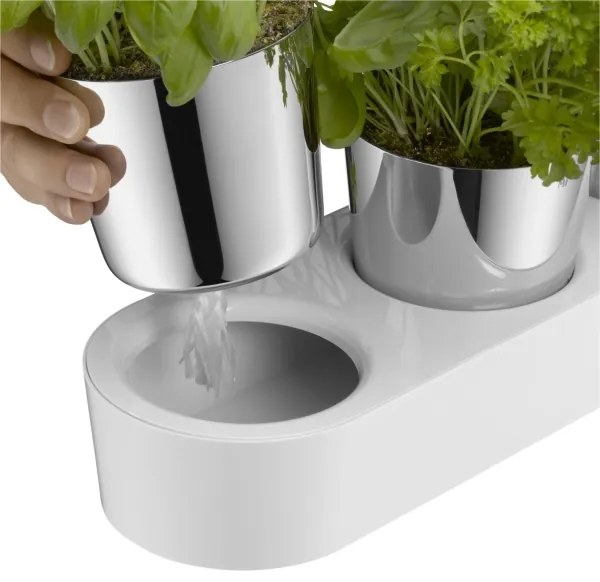 WMF - Önöntöző fűszernövény cserép 3db GOURMET fehér/rozsdamentes