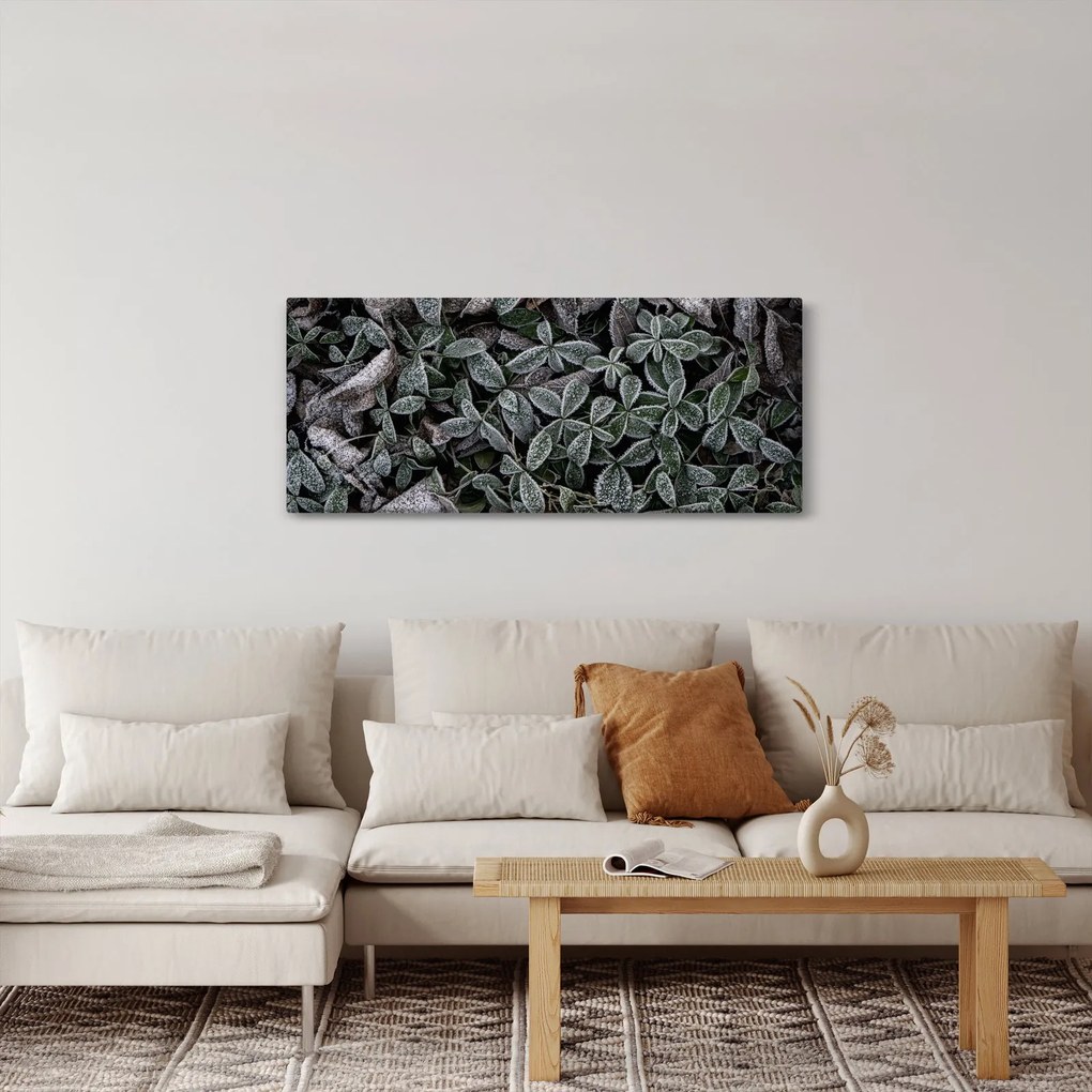 Kép - Fagyasztott növények (120x50 cm)