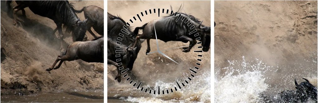 Kép - Gnúcsorda (órával) (90x30 cm)