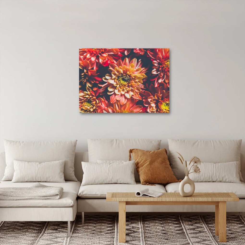 Kép - Krizantém (70x50 cm)
