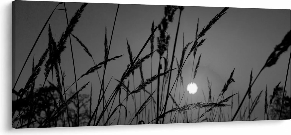 Kép - rét naplementével (120x50 cm)