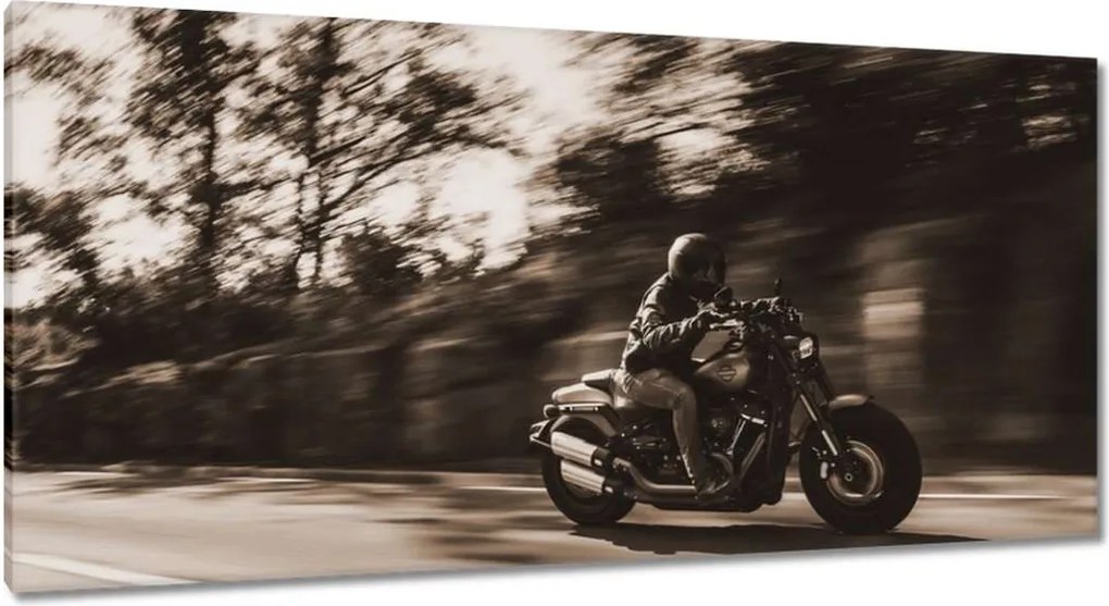 Képek 115x55 Harley Davidson Motorkerékpár