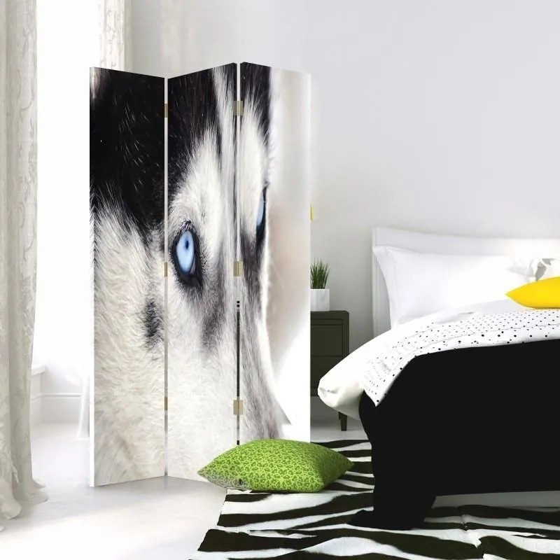 Gario Paraván Szibériai husky Méret: 145 x 170 cm, Kivitelezés: Forgó paraván 360°