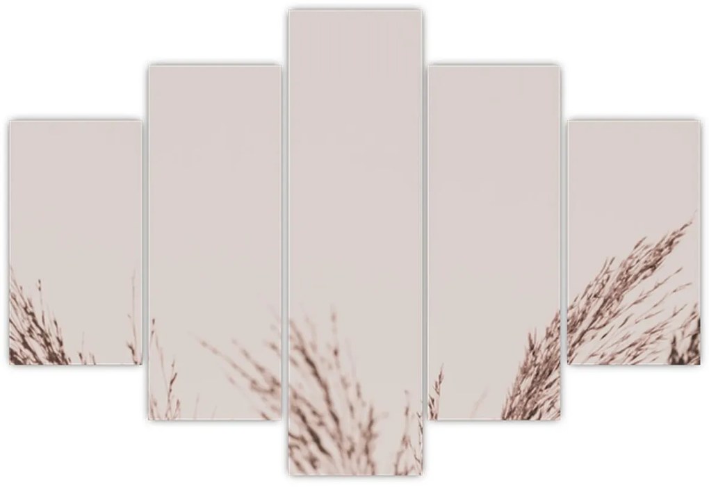 Kép - Szárított fű (150x105 cm)