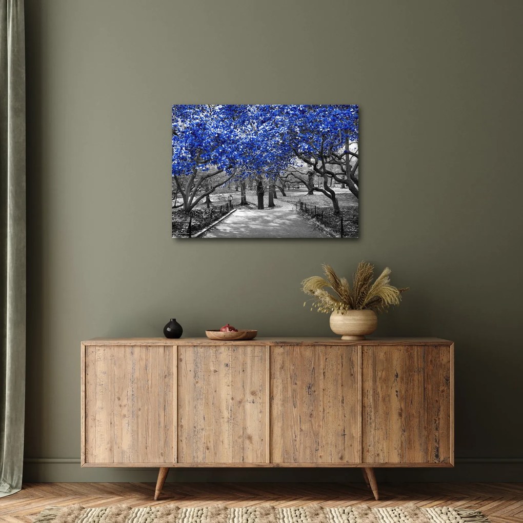 Kép - Kék fák, Central Park, New York (70x50 cm)