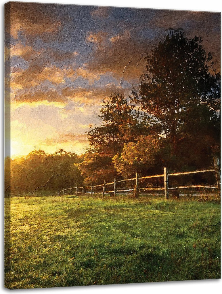 Vászonkép Nap Tájkép Falusi fák Rét 30x40 cm