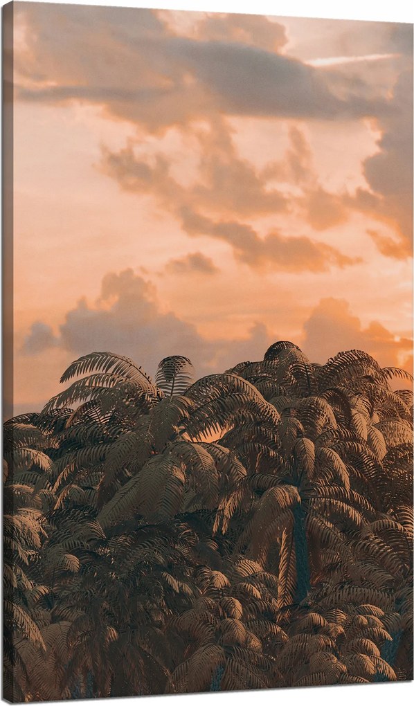 Vászonkép Fák Naplemente Felhők Égbolt 70x120 cm