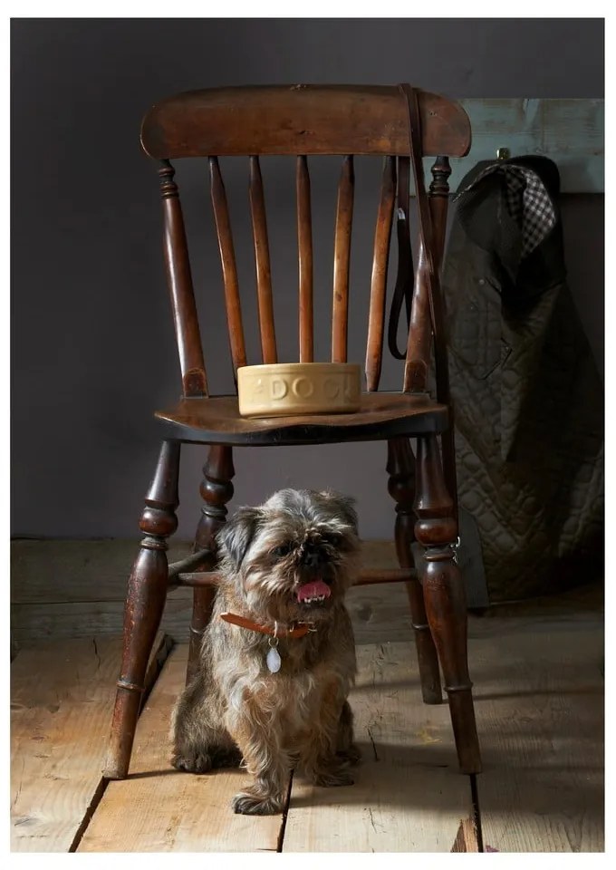 Pet Cane Dog agyagkerámia kutyatál, ø 25 cm - Mason Cash