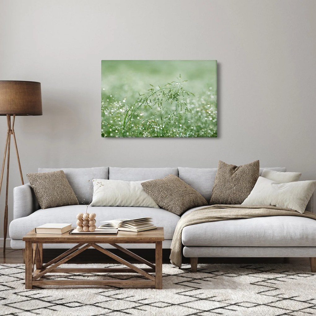 Kép - Reggeli harmat a fűszálakon (90x60 cm)