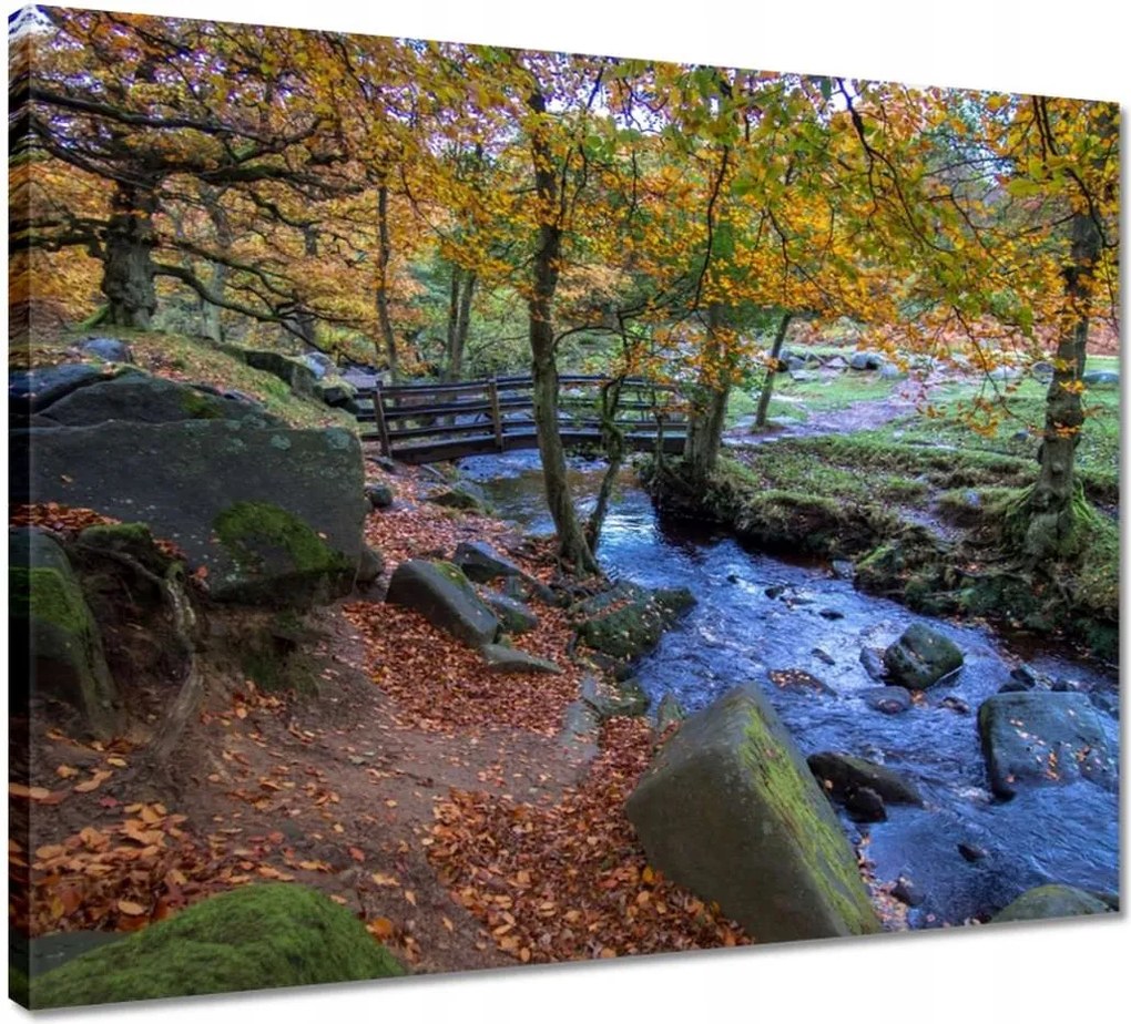 Vászonkép 50x40 Híd a parkban