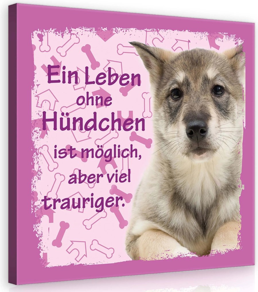 Vászonkép 80x80 Kiskutya kutya kisállat szomorú élet csont Az élet kutya nélkül van
