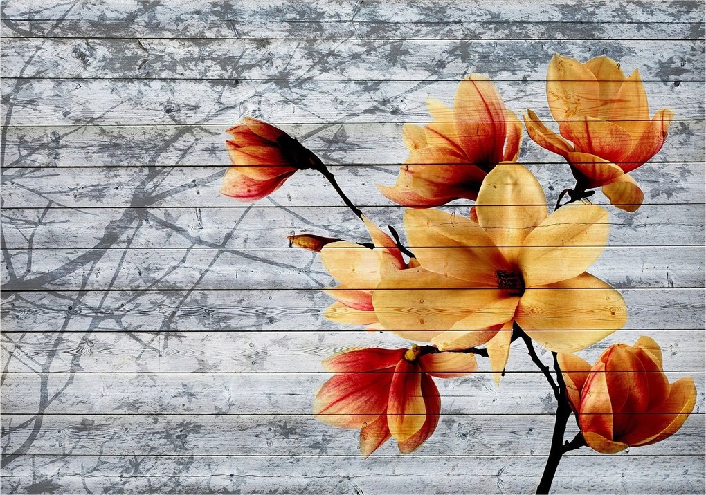 Fotótapéta Magnolia Vintage Rusztikus Méret 200x140 finom dekoráció +ragasztó