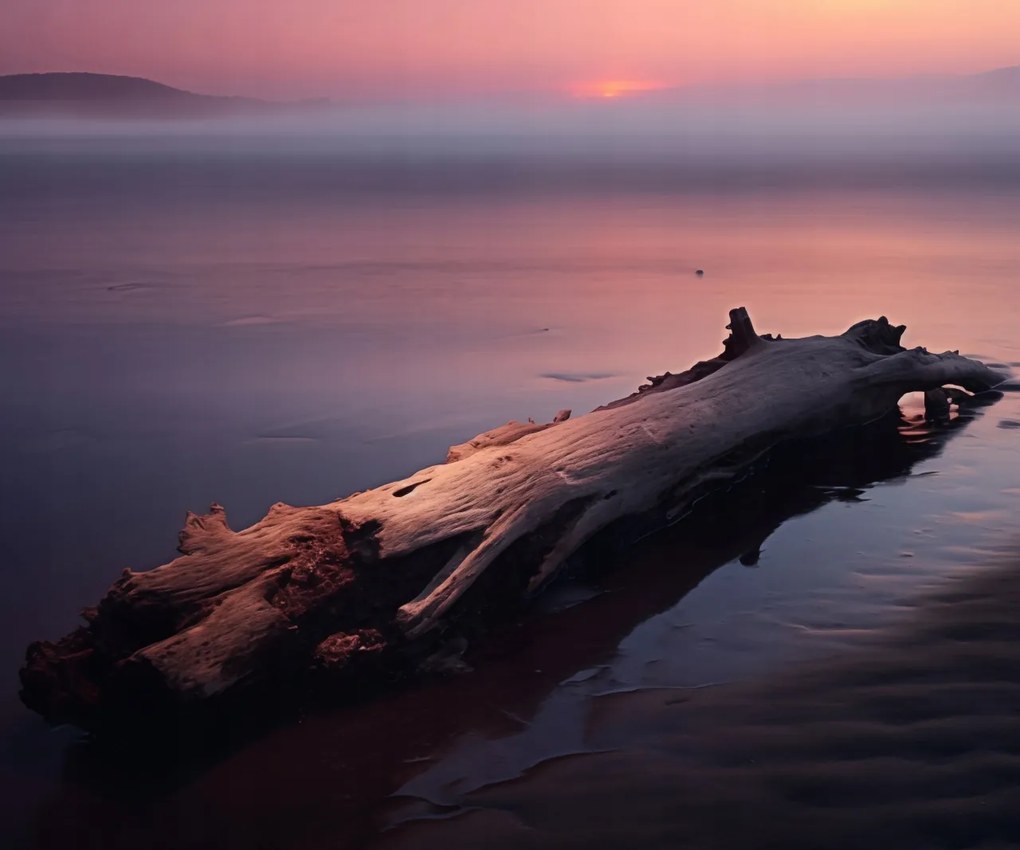 Poszter 60x50cm Várva a végére