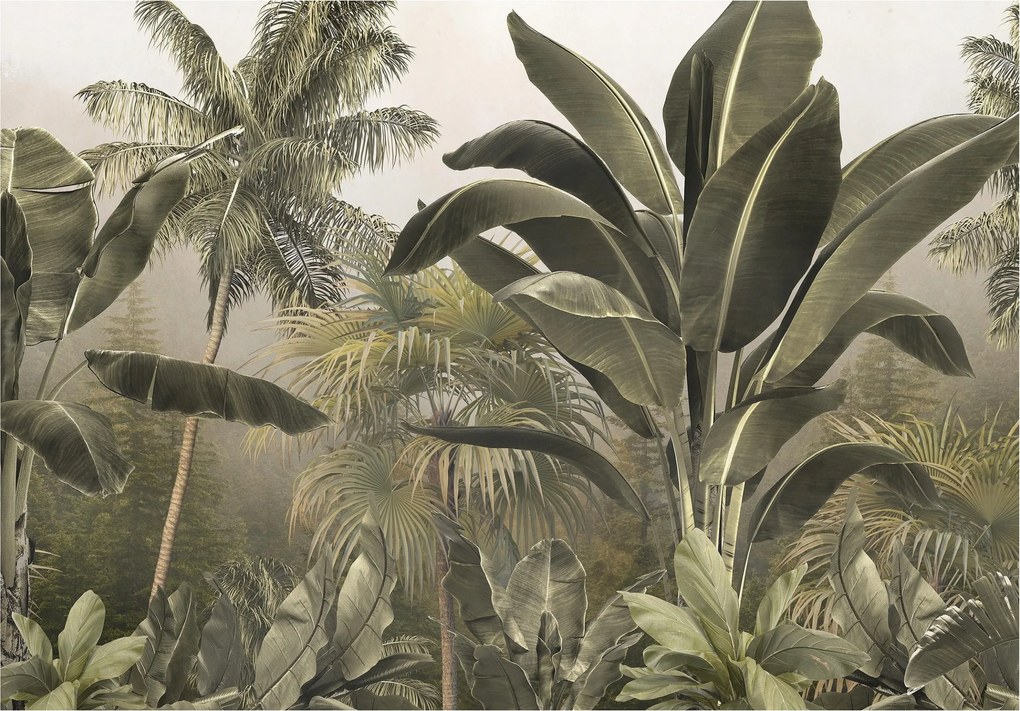 Fotótapéta Trópusi pálmalevelek banán oázisok 368x280 hálószoba +ragasztó