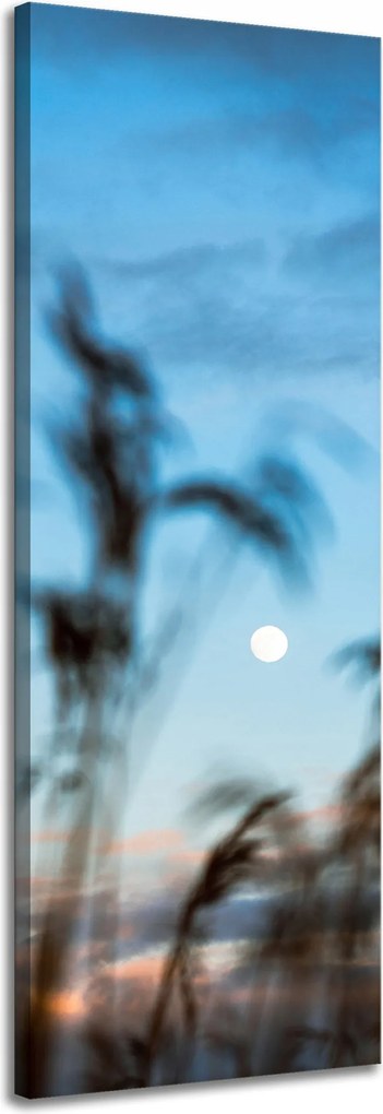 Vászonkép Természet Mező Rét Napfelkelte 40x120