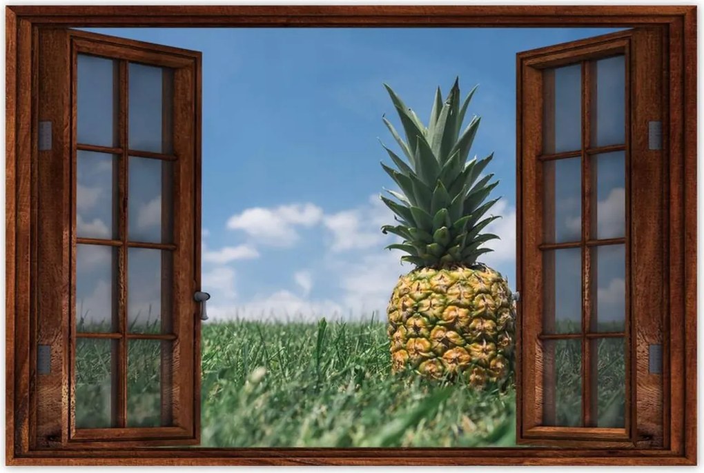 Poszterek 90x60 Ananász tájkép