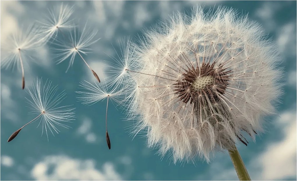 Fotótapéta Flizelin az Otthon szobájába 3D Könnyű éteriség 416x254 Ragasztó