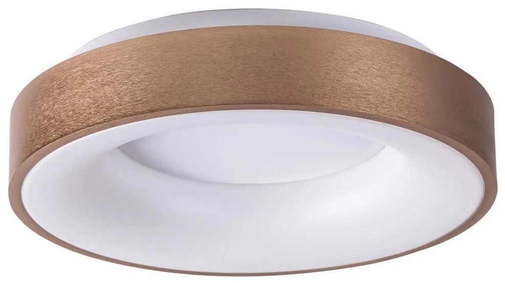 Rabalux 5052 - LED Mennyezeti lámpa CARMELA LED/30W/230V